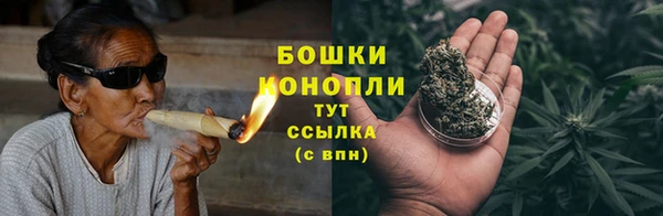 ПСИЛОЦИБИНОВЫЕ ГРИБЫ Аркадак