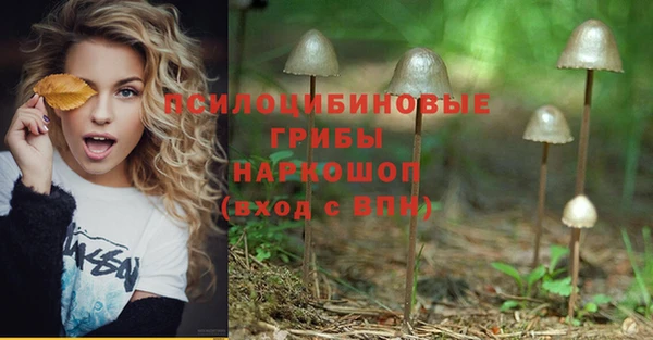ПСИЛОЦИБИНОВЫЕ ГРИБЫ Аркадак