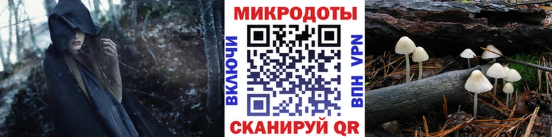 Галлюциногенные грибы мухоморы  Динская 